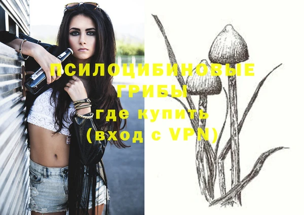 крисы Куйбышев