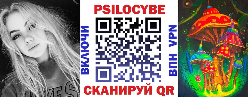 Купить где  Куйбышев  Псилоцибиновые грибы Cubensis 